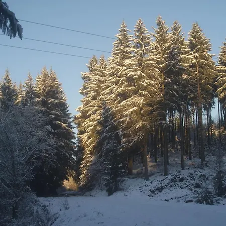 Im Alftal, Apartment *