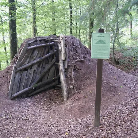 Im Alftal, Apartamento Bleialf