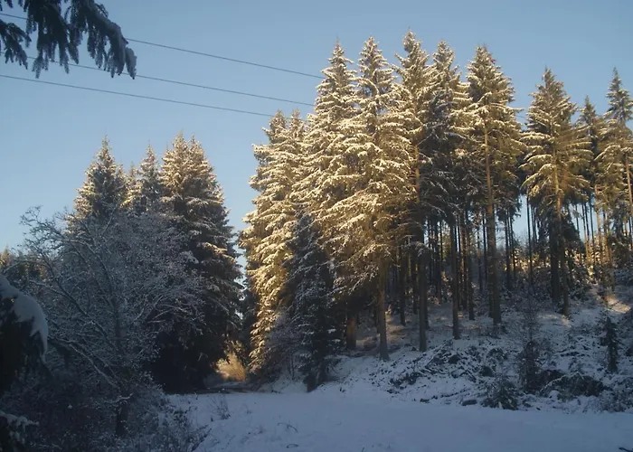 Im Alftal, דירה *