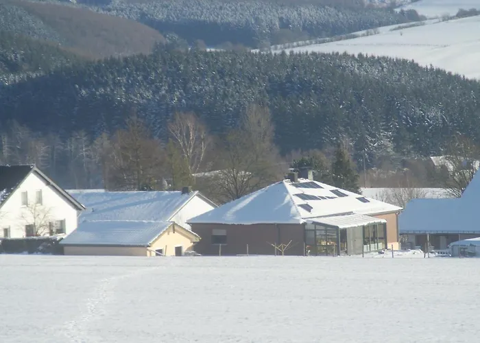 Apartment Im Alftal, Bleialf